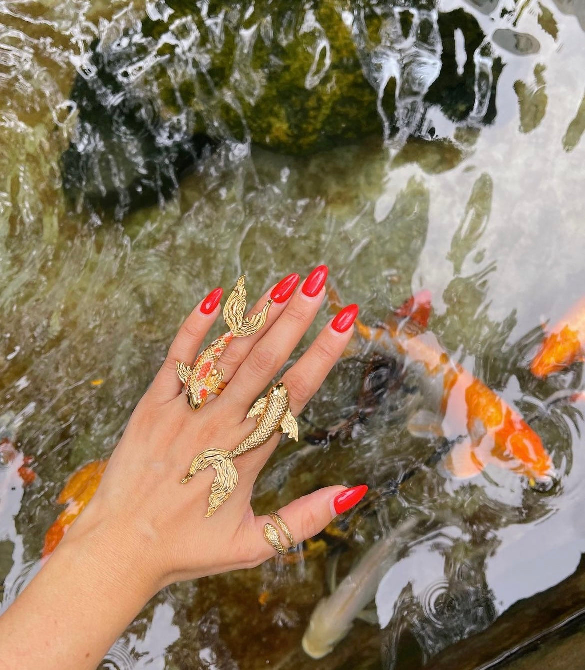 Koi Pintado Ring