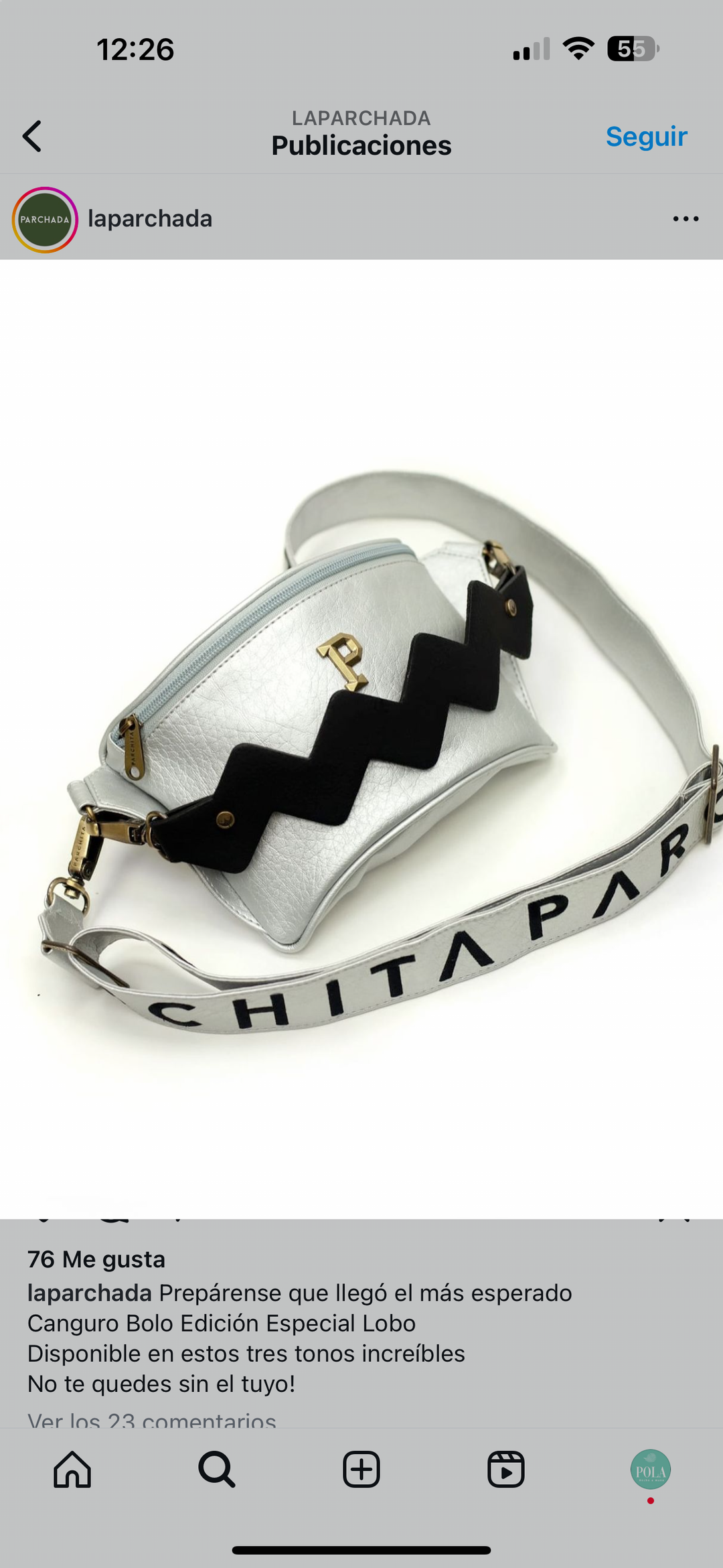 PARCHITA Silver Fanny Pack