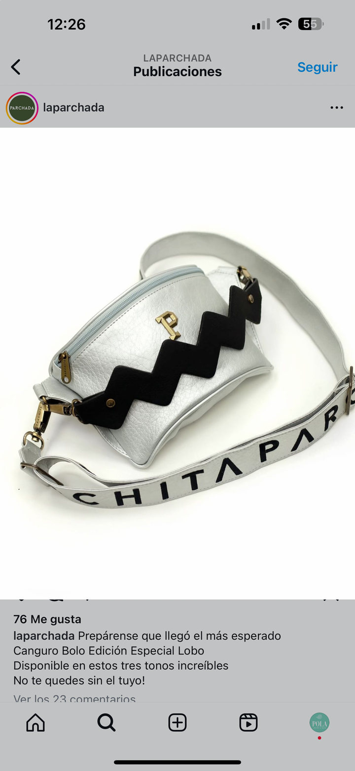 PARCHITA Silver Fanny Pack