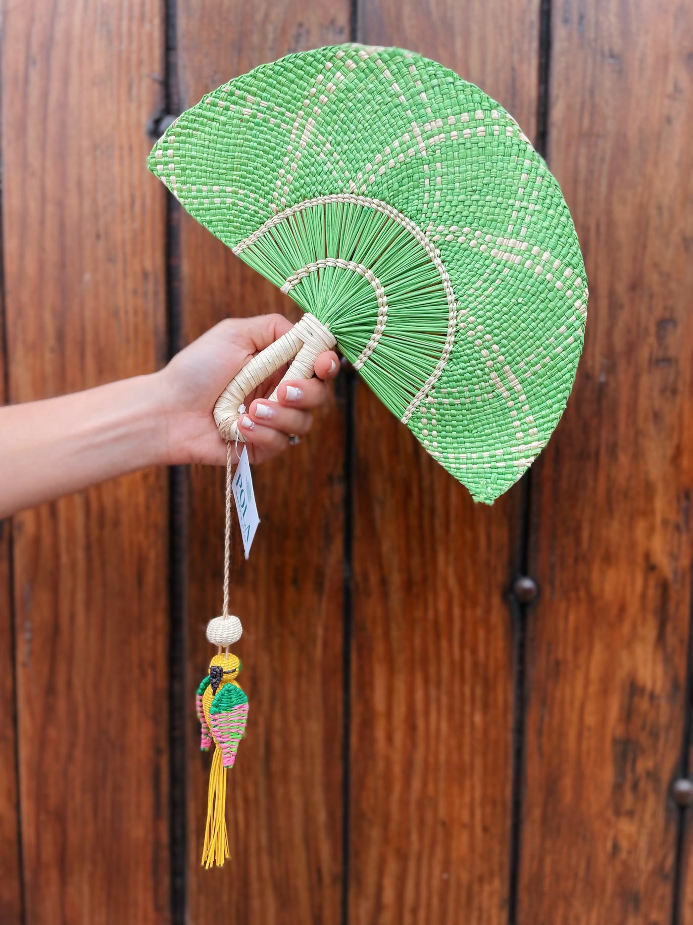 Hand Fan Verde Pajaro