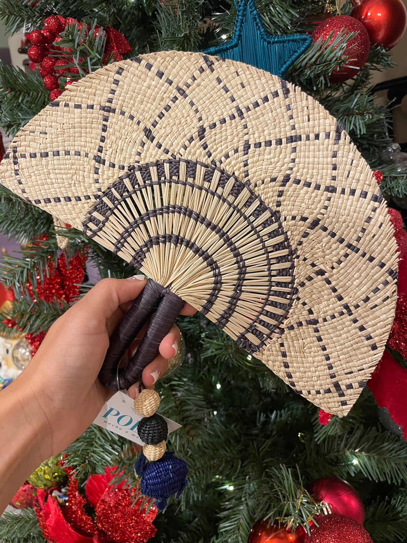Hand Fan Natural Negro