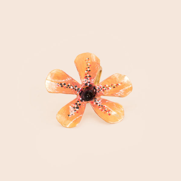 Ojo de Poeta Ring