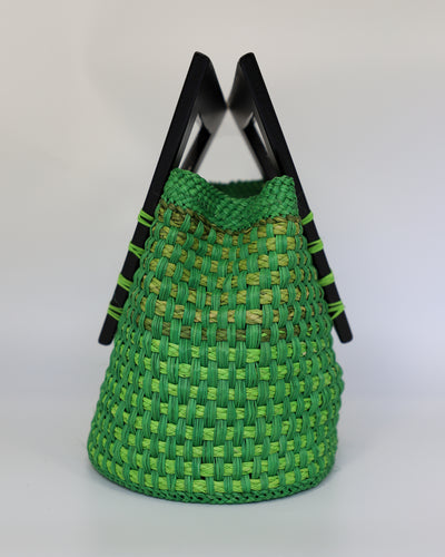 Noelia Verde Color Block Handbag