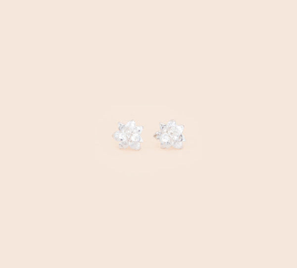 Suculenta Agavoide Earrings