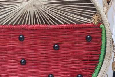 Watermelon cross body bag