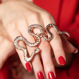 Crónicas de mi corazón Ring
