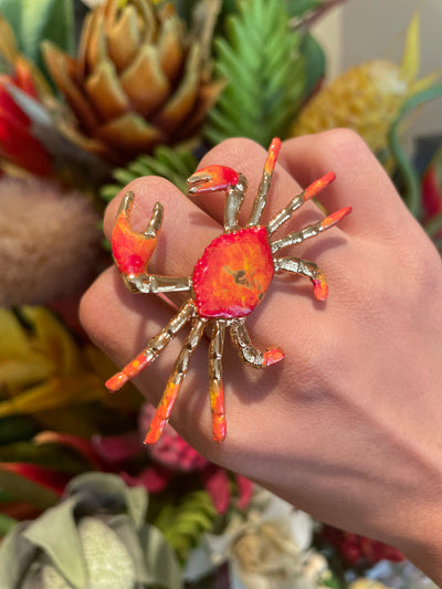 Cangrejo Pintado Ring