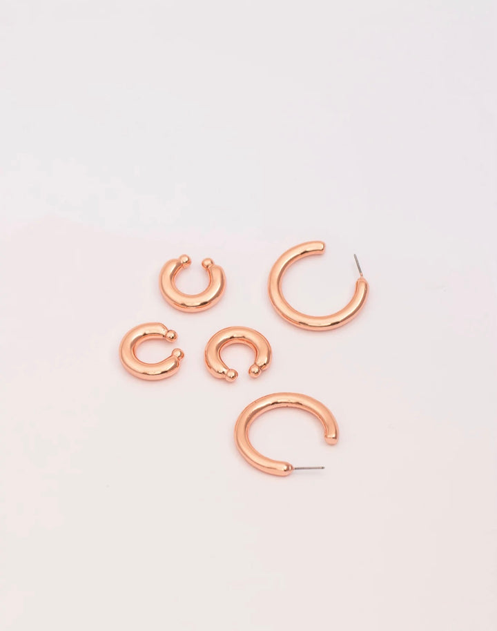 Basic Rose Earrings Set