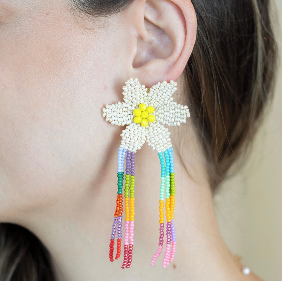 Rainbow Earrings